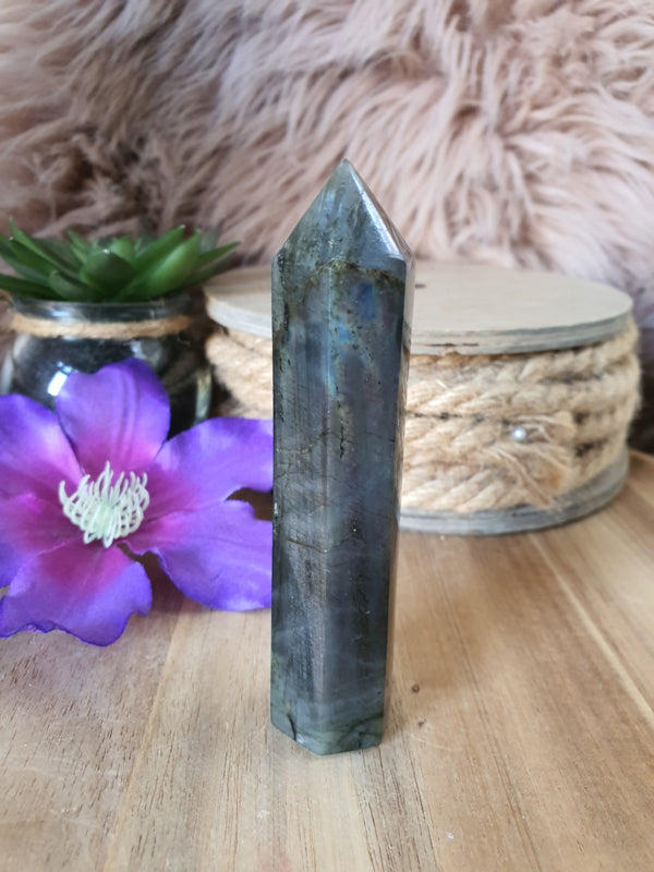 Labradoriet Punt (nr 2)