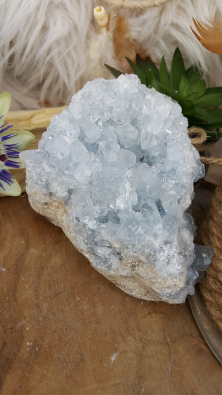 Celestien cluster (nr 7)