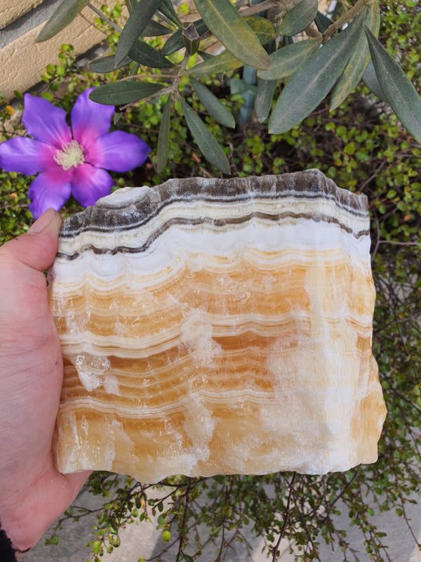 Zebra Calciet Ruw (nr 2)
