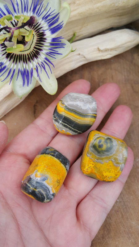 Bumblebee jaspis (eclipse stone). 18-24 gram
