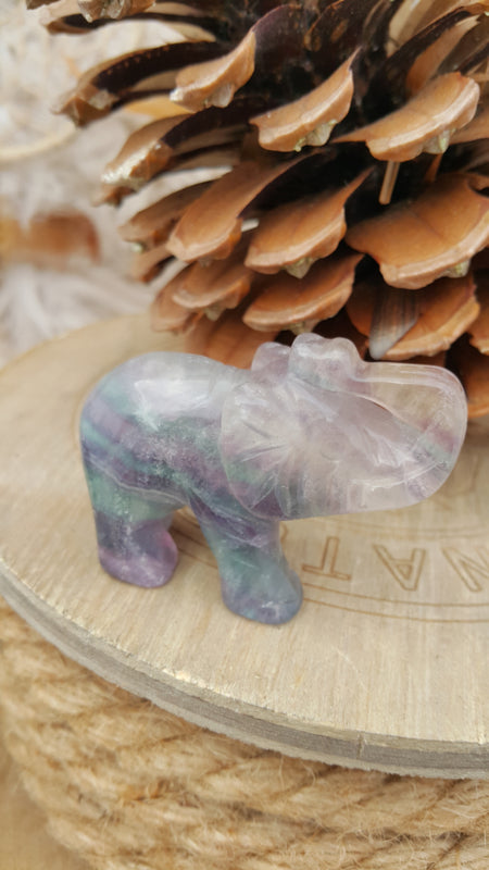 Edelsteen Regenboog Fluoriet olifant (nr 1)