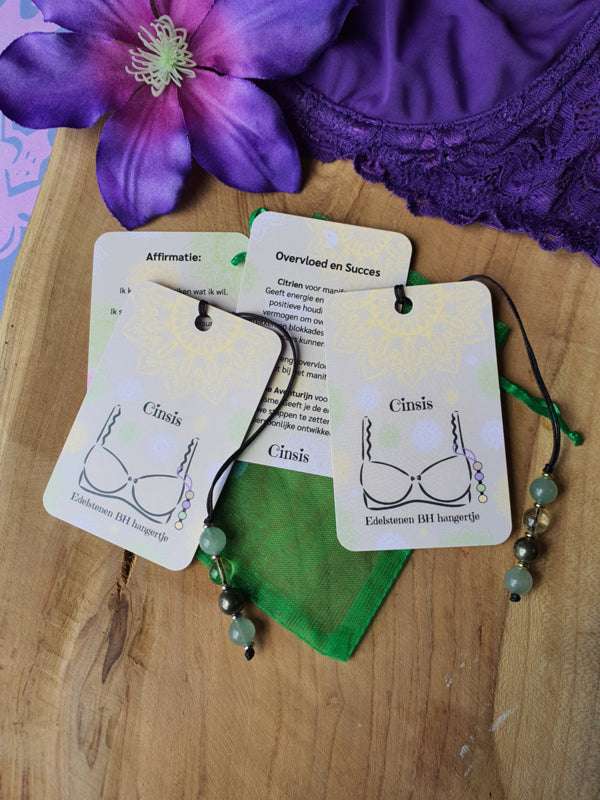 Edelstenen BH Hangertje Overvloed en Succes