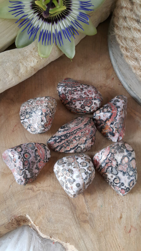 Luipaard Jaspis 21-40 gram