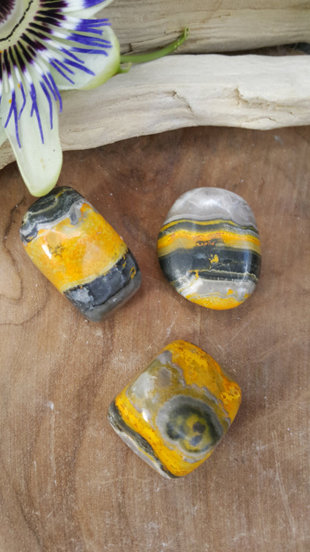 Bumblebee jaspis (eclipse stone). 18-24 gram