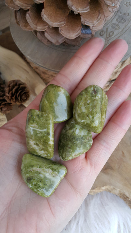 Epidoot trommelstenen 17-30 gram