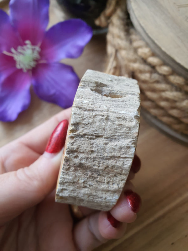 Kleine Versteend hout stam (nr 3)