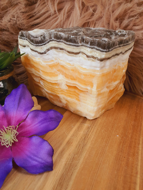 Zebra Calciet Ruw (nr 2)