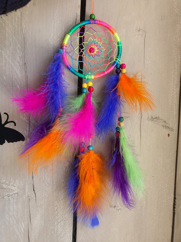 Dromenvanger / Dreamcatcher (nr 6)