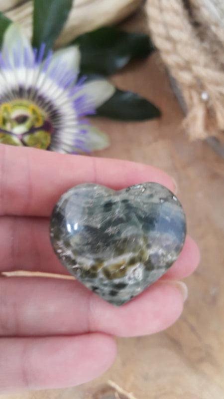 Oceaan Jaspis hart +/- 30 mm (nr 2)