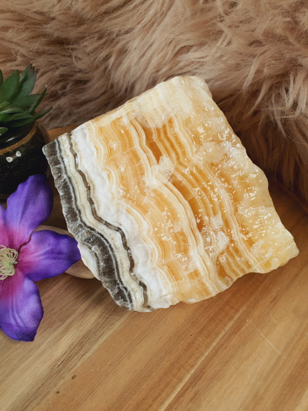 Zebra Calciet Ruw (nr 2)