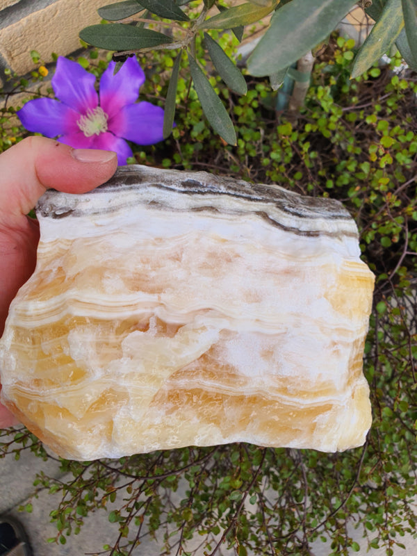 Zebra Calciet Ruw (nr 2)