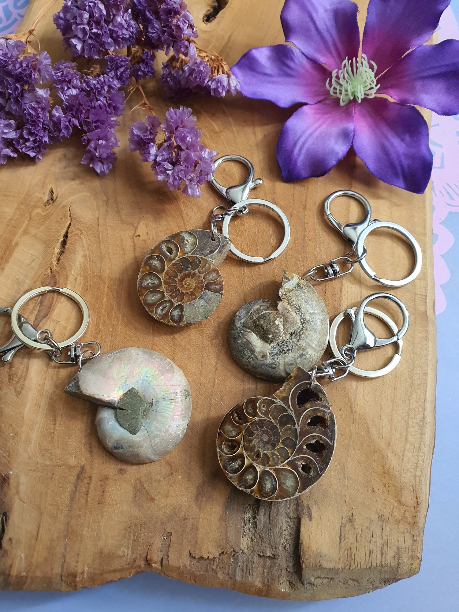 Ammoniet sleutelhanger