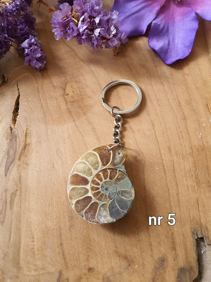 Ammoniet sleutelhanger nr 5