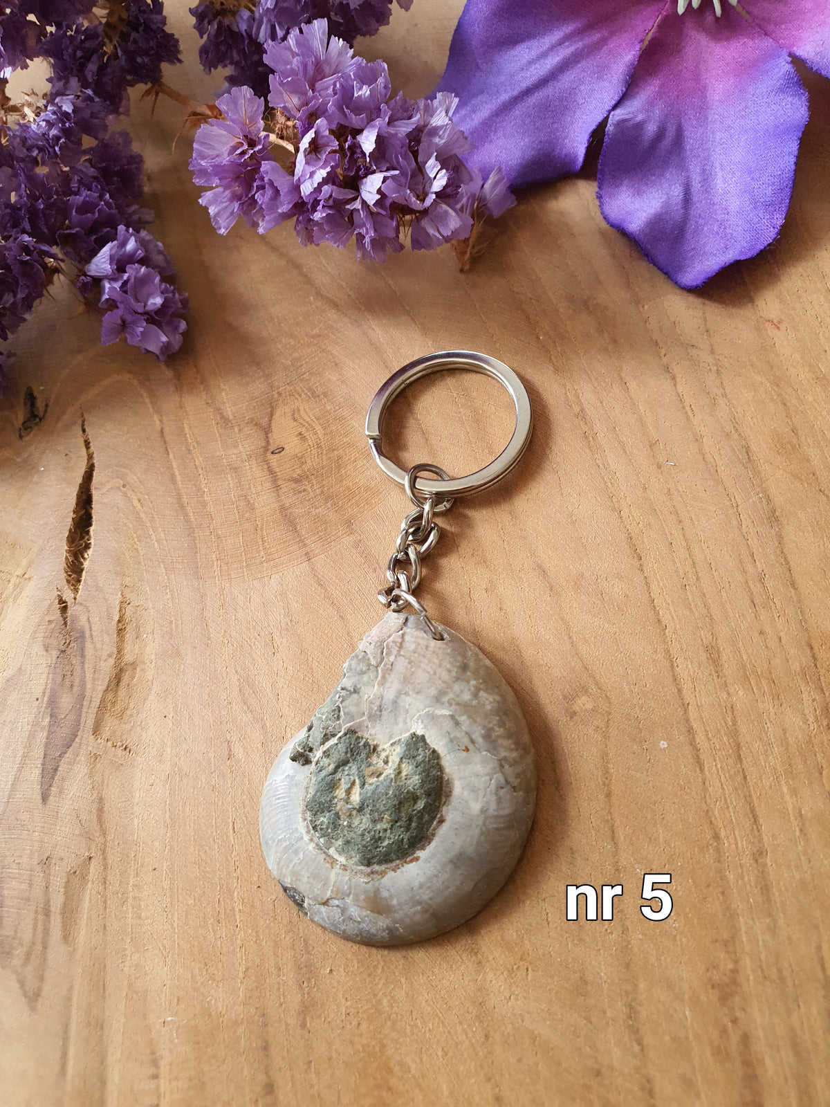 Ammoniet sleutelhanger (nr 5) achterzijde