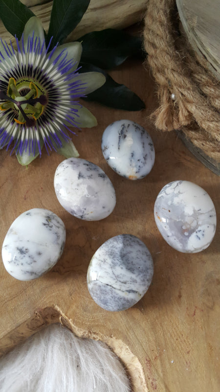 Dendriet Agaat  zaksteen 20-40 gram