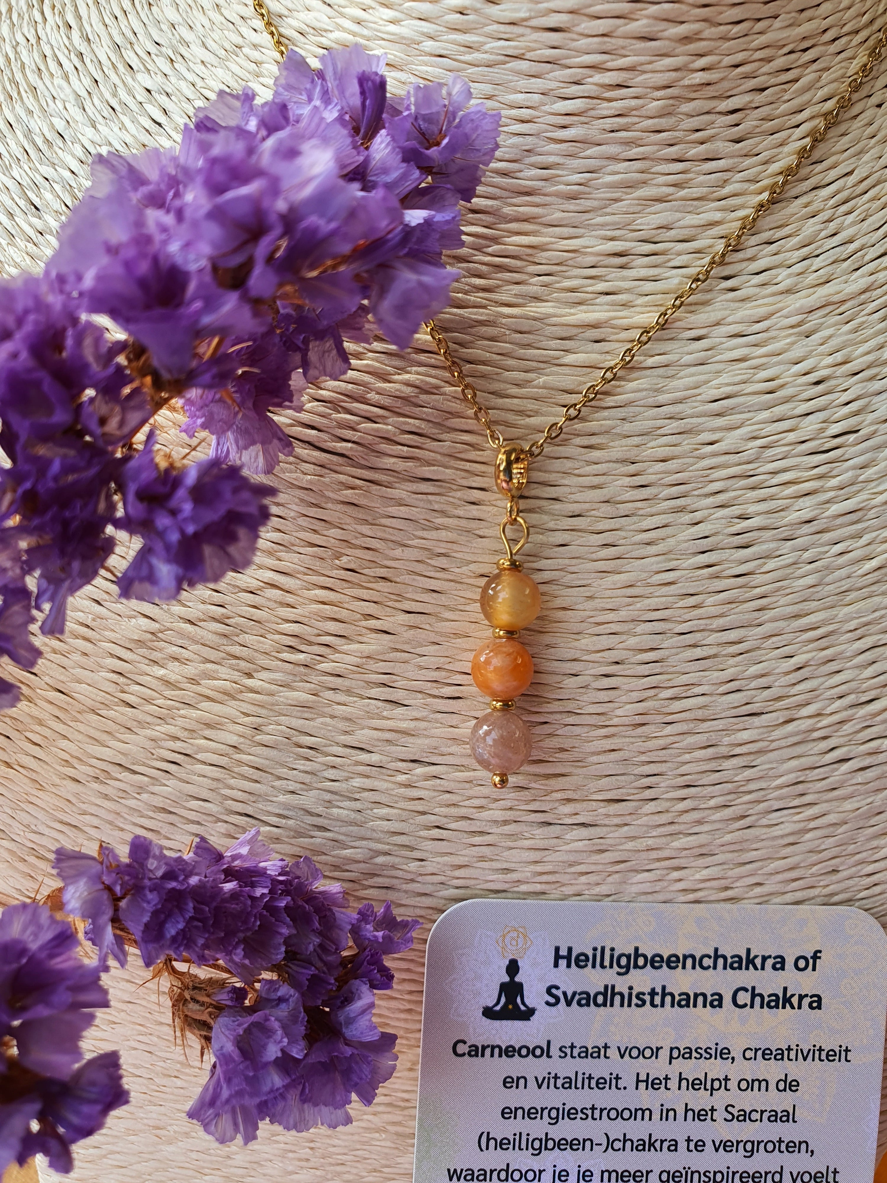 Edelstenen Sacraalchakra hanger rvs goud