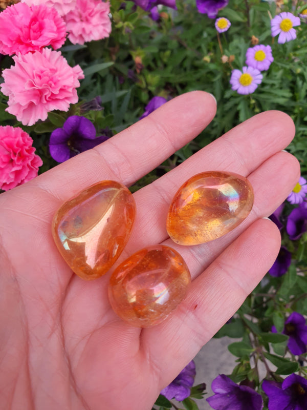Golden Titanium Aura