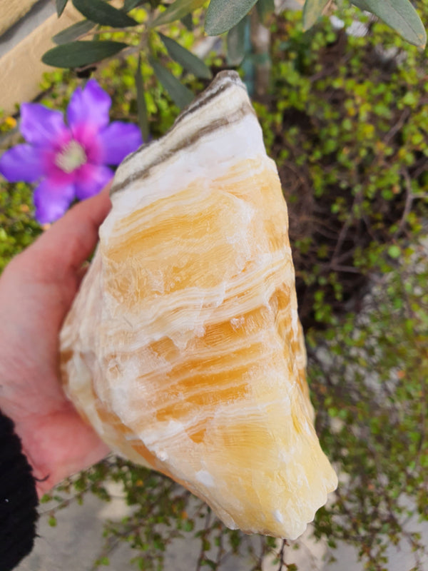 Zebra Calciet Ruw (nr 2)